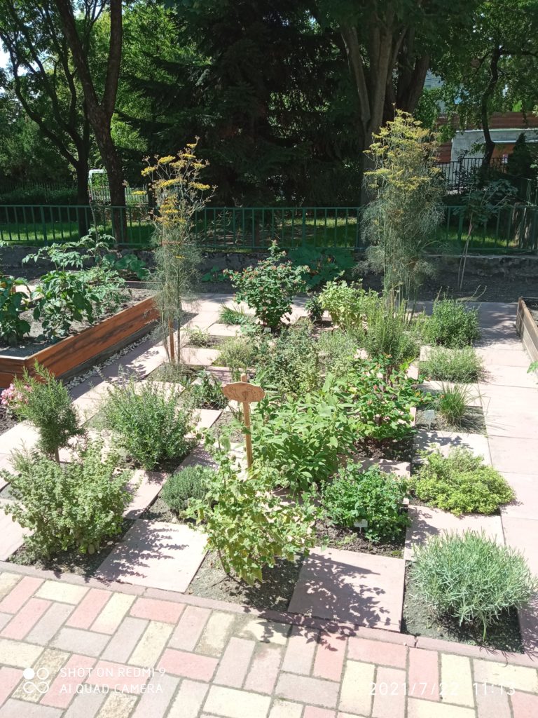 Csepel is benevezett idén a „Virágos Magyarországért” versenyre