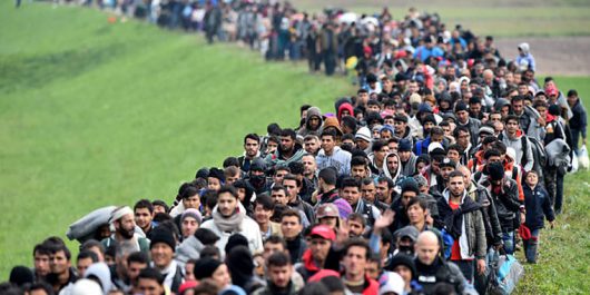 Több száz migráns tart Belgrádból a magyar határ felé