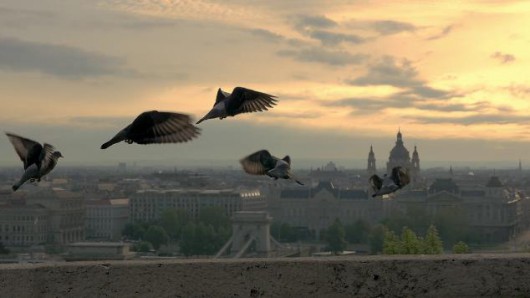 Budapestről készült videón ámul a világ 