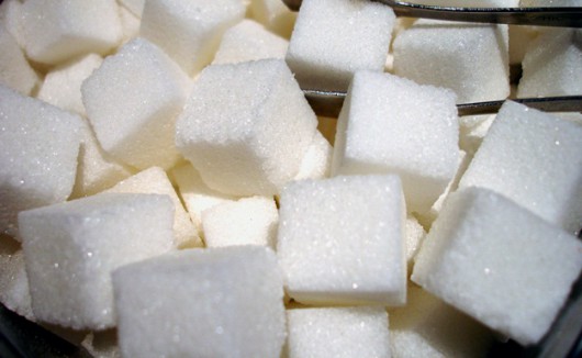 Cukorgyárak épülhetnek hazánkban