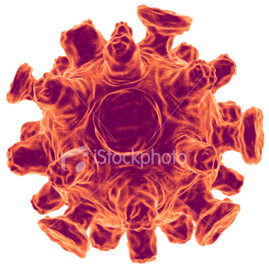 Influenza vírus